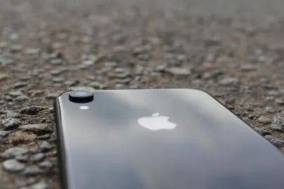 Kasino Jungle Raja Apl Mudah Alih